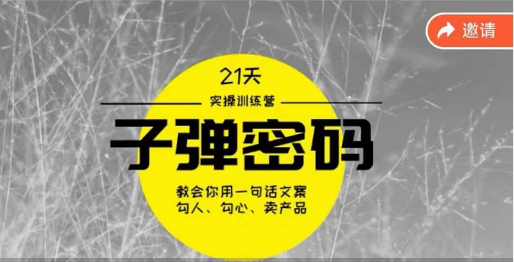 fy3736期-《子弹密码训练营》用一句话文案勾人勾心卖产品，21天学到顶尖文案大师策略和技巧