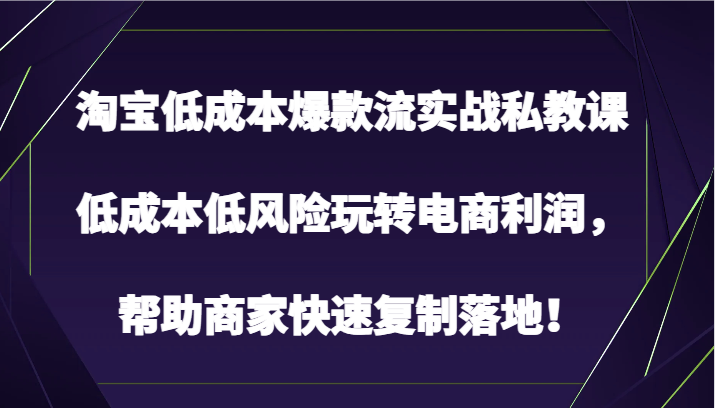 fy3720期-淘宝低成本爆款流实战私教课，低成本低风险玩转电商利润，帮助商家快速复制落地！