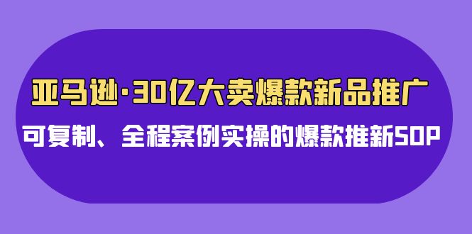 fy3590期-亚马逊30亿大卖爆款新品推广，可复制、全程案例实操的爆款推新SOP