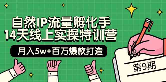 fy3568期-自然IP流量孵化手14天线上实操特训营【第9期】月入5w+百万爆款打造 (74节)