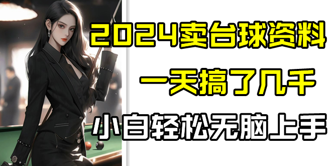 fy2937期-2024卖台球资料，一天搞了几千，小白轻松无脑上手