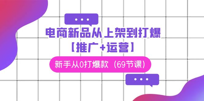 fy2867期-电商新品从上架到打爆【推广+运营】，新手从0打爆款（69节课）