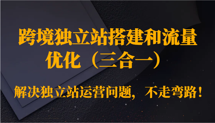 fy2784期-跨境独立站搭建和流量优化（三合一）解决独立站运营问题，不走弯路！