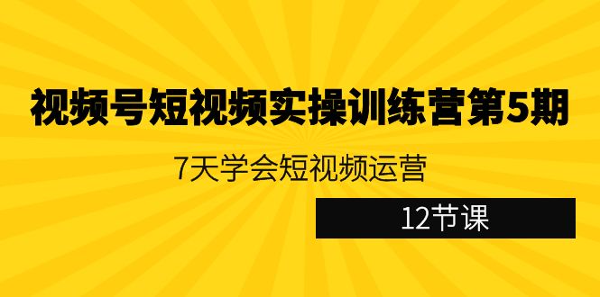 fy2717期-视频号短视频实操训练营第5期：7天学会短视频运营（12节课）