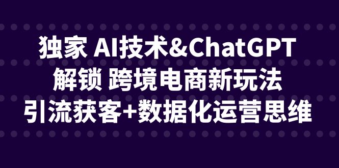 （FY-1033期）独家 AI技术&ChatGPT解锁 跨境电商新玩法，引流获客+数据化运营思维