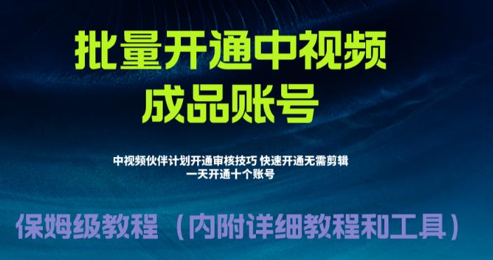 （FY-1017期）外面收费1980暴力开通中视频计划教程，附 快速通过中视频伙伴计划的办法(快速通过中视频伙伴计划，批量开通中视频账号，轻松赚钱！)