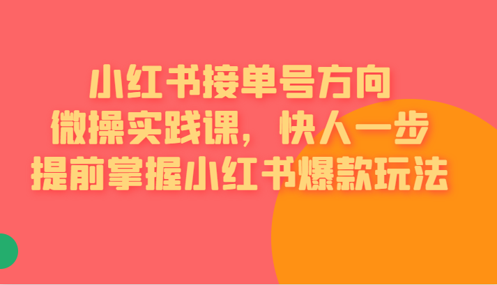 （FY-1000期）小红书接单号方向微操实践课，快人一步提前掌握小红书爆款玩法(小红书接单号方向微操实践课全面解析小红书爆款玩法)