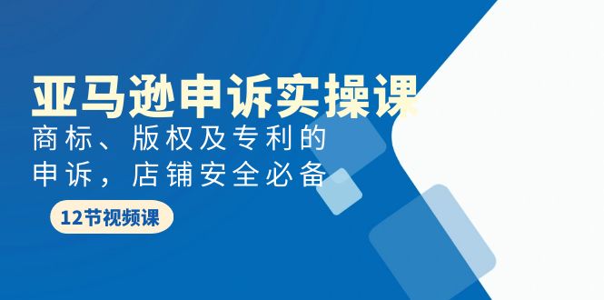 （9754期）亚马逊-申诉实战课，​商标、版权及专利的申诉，店铺安全必备