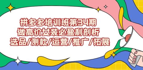 （9333期）拼多多培训班第34期：做高价女装必盈利剖析 选品/测款/运营/推广/拓展