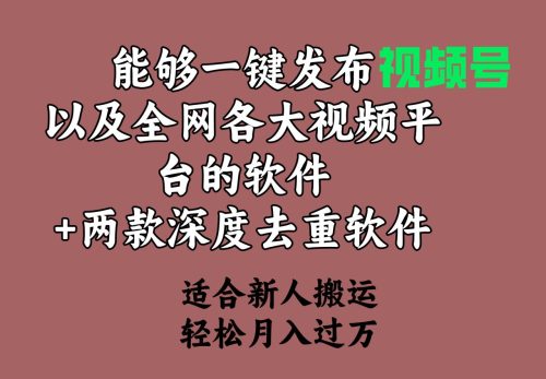 （9319期）能够一键发布视频号以及全网各大主流平台+两款去深度去重软件，适合新人搬运，轻容月入过万