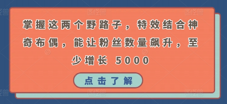 掌握这两个野路子，特效结合神奇布偶，能让粉丝数量飙升，至少增长 5000