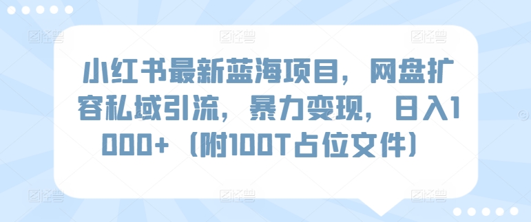 小红书最新蓝海项目，网盘扩容私域引流，暴力变现，日入1000+（附100T占位文件）