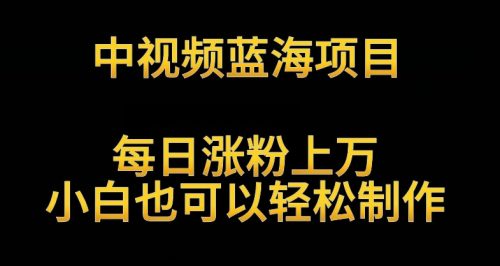 中视频蓝海项目，解读英雄人物生平，每日涨粉上万，小白也可以轻松制作，月入过万不是梦