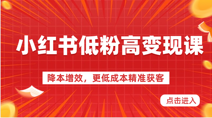 fy3879期-小红书低粉高变现课-降本增效，更低成本精准获客，小红书必爆的流量密码