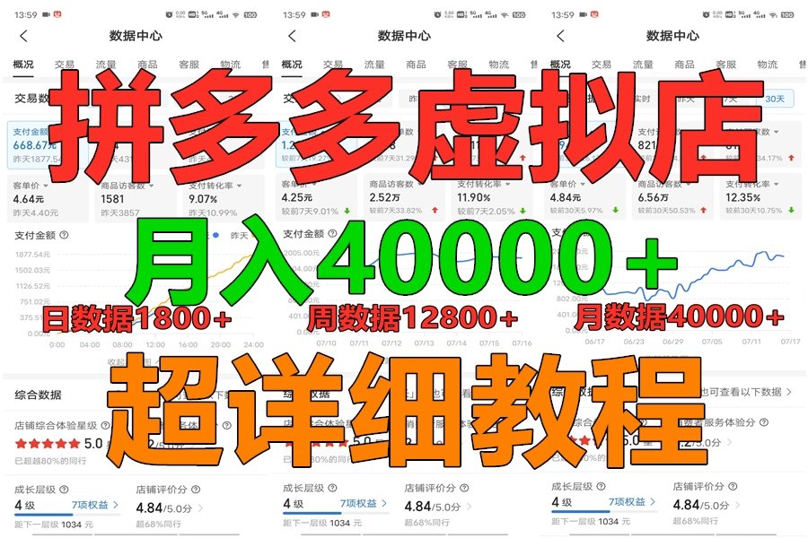 FY4029期-拼多多虚拟电商训练营月入40000+，全网最详细，你做你也行，暴利稳定长久