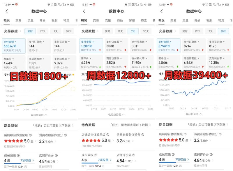 FY4029期-拼多多虚拟电商训练营月入40000+，全网最详细，你做你也行，暴利稳定长久