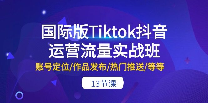 FY4035期-国际版Tiktok抖音运营流量实战班：账号定位/作品发布/热门推送/等等（13节）