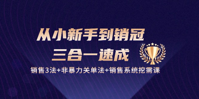 FY4087期-从小新手到销冠三合一速成：销售3法+非暴力关单法+销售系统挖需课 (27节)