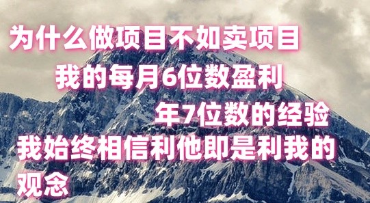 FY4160期-做项目不如卖项目，每月6位数盈利，年7位数经验