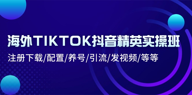 FY4199期-海外TIKTOK抖音精英实操班：注册下载/配置/养号/引流/发视频/等等