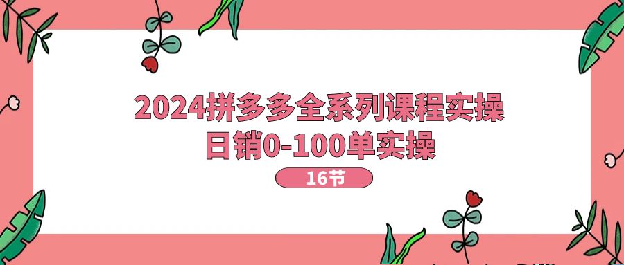 （11222期）2024拼多多全系列课程实操，日销0-100单实操【16节课】