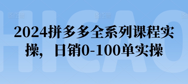 2024拼多多全系列课程实操，日销0-100单实操