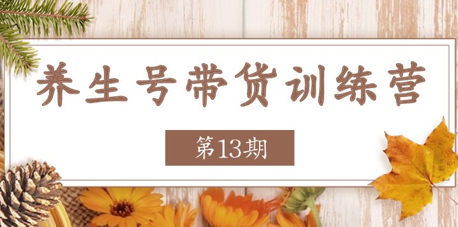 FY4352期-养生号带货训练营【第13期】收益更稳定的玩法，让你带货收益爆炸